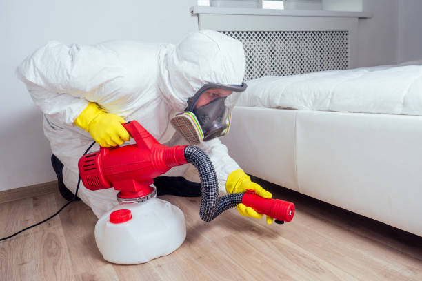 Best Flea Control Services  in Cordry Sweetwater Lakes, IN