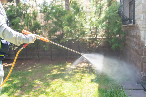 Trusted Cordry Sweetwater Lakes, IN Pest Control Experts