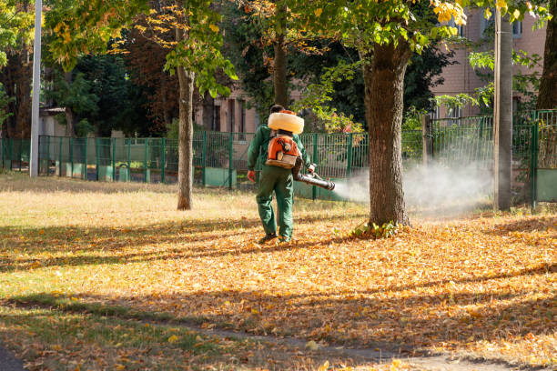 Best Residential Pest Control  in Cordry Sweetwater Lakes, IN