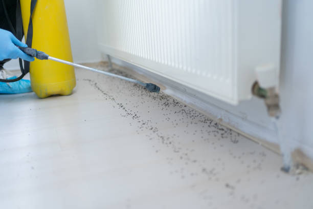 Best Termite Control Services  in Cordry Sweetwater Lakes, IN